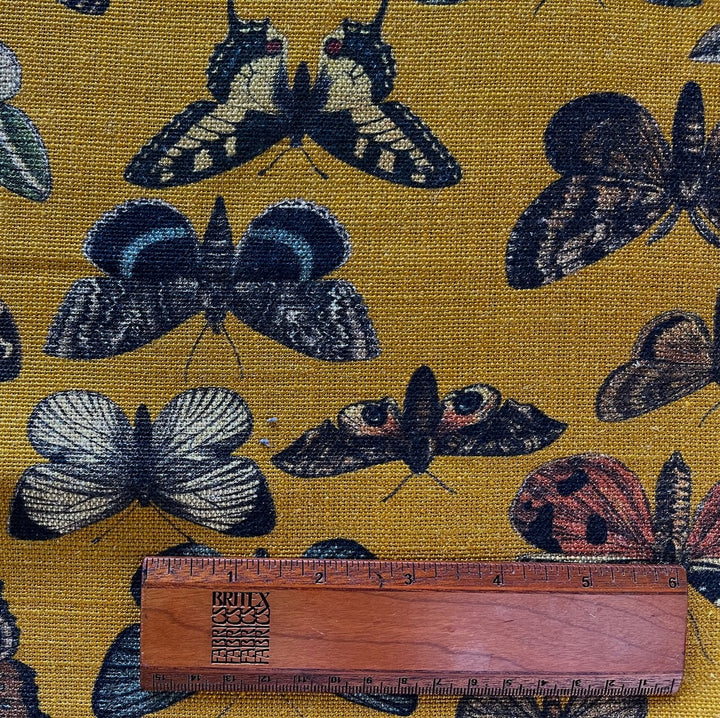 Marigold Moths & Butterflies Cotton Blend Canvas (Made in India)