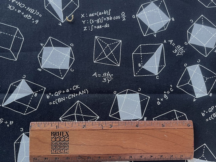 Mathematical Equations Onyx Quilting Cotton (Made in Japan)
