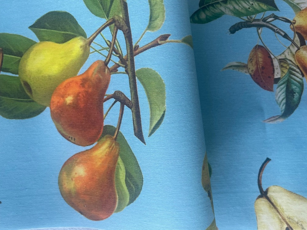 Anjou Pears on Sky Blue Laminated Cotton (Made in Spain)