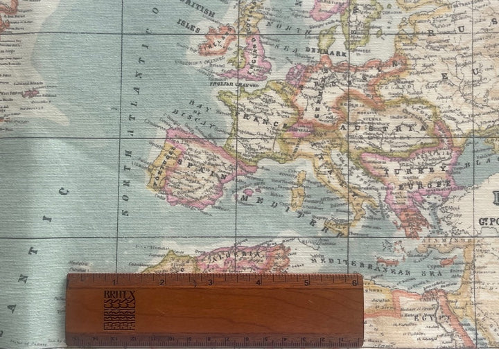 Cartographers Delight Laminated Cotton (Made in Spain)
