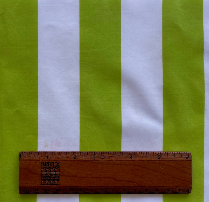 Key Lime & White Cabana Stripe Crisp Cotton Poplin (Made in Italy)