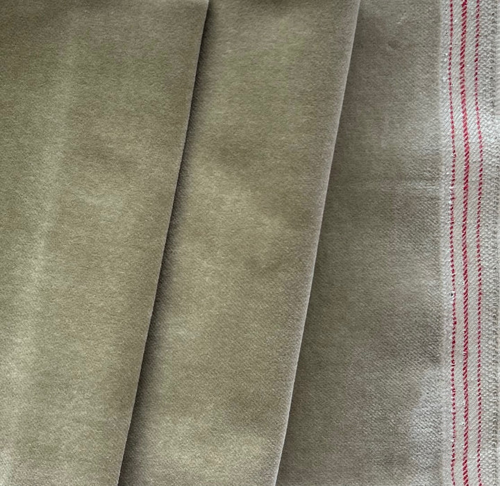 Plush Classic Camel Cotton Velveteen (Made in  Italy)