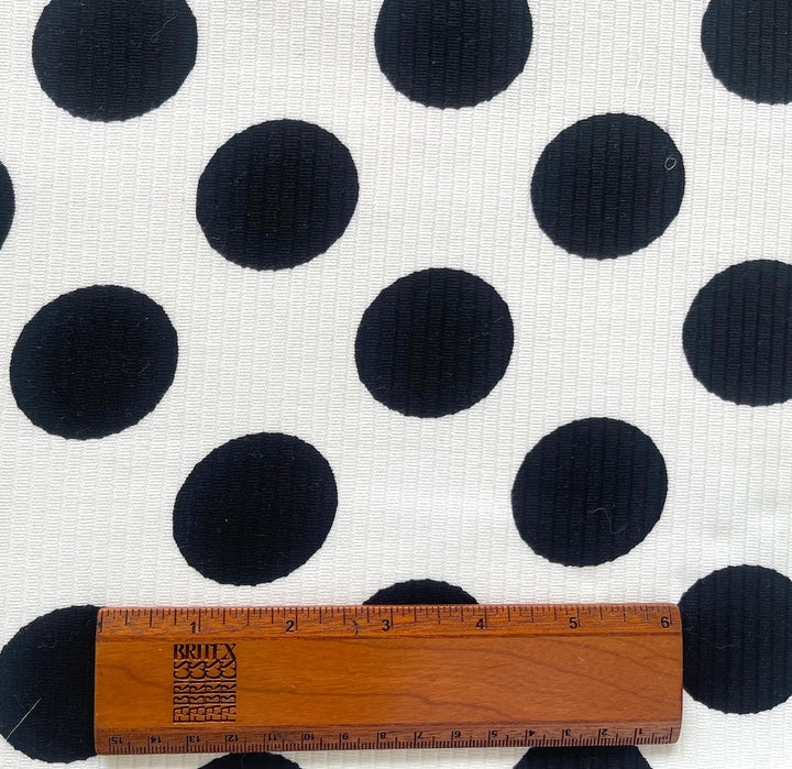 D & G 1 1/2" Black Dots Cotton Pique Rayeur (Made in Italy)