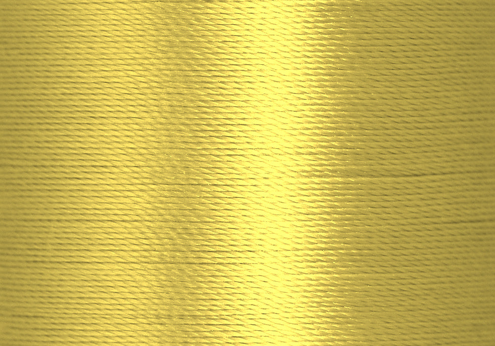 Daffodil 16