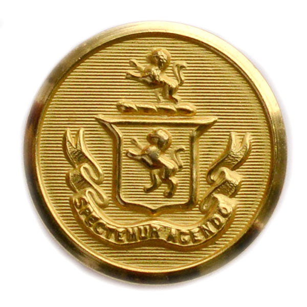 Lion Salient Brass Blazer Button (Made in USA by Waterbury)