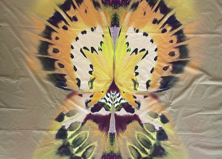 48" Panel - Alberto Ferretti Kaleidoscope Butterfly Wings Cotton Lawn (Made in Italy)