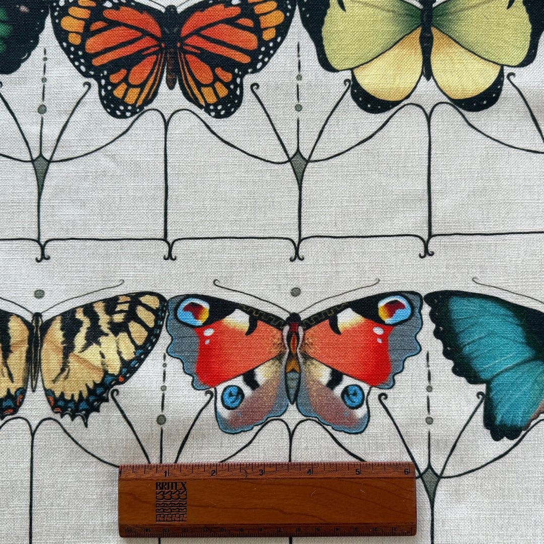 Mid-Weight Art Deco Papillon Cotton Canvas  (Made in India)