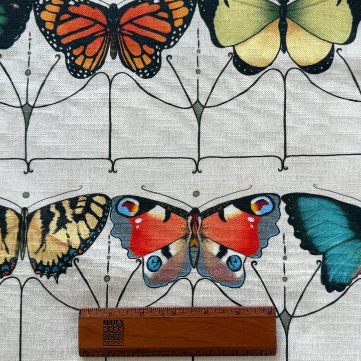 Mid-Weight Art Deco Papillon Cotton Canvas  (Made in India)