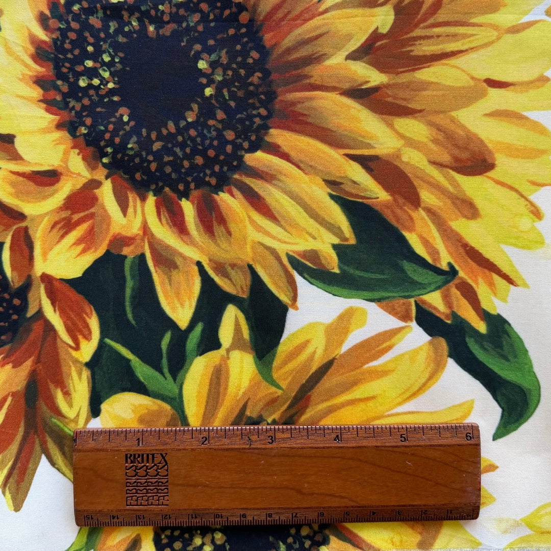 D&G Giant Sunflowers on White Crisp Cotton Poplin (Made in Italy)