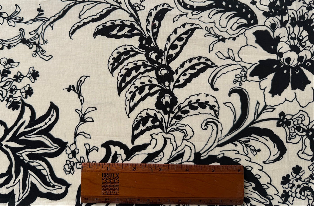 Border Print - Black & Cream Paisley Crisp Cotton Poplin (Made in Italy)