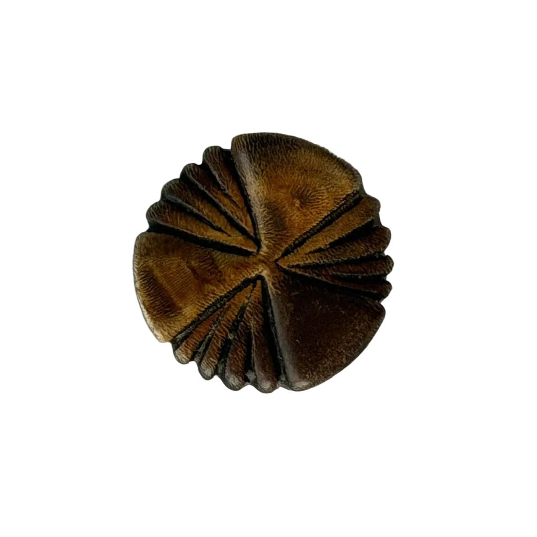 3/4" Burnt Caramel Carved Fans Horn Button (Made in Spain)