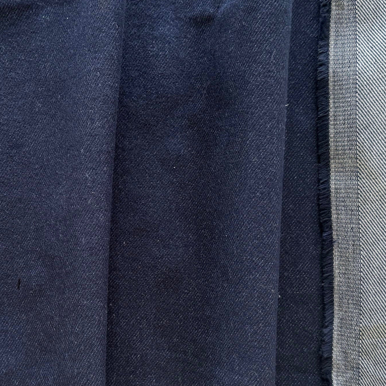 IMG_4456.jpg?v=1768840099&