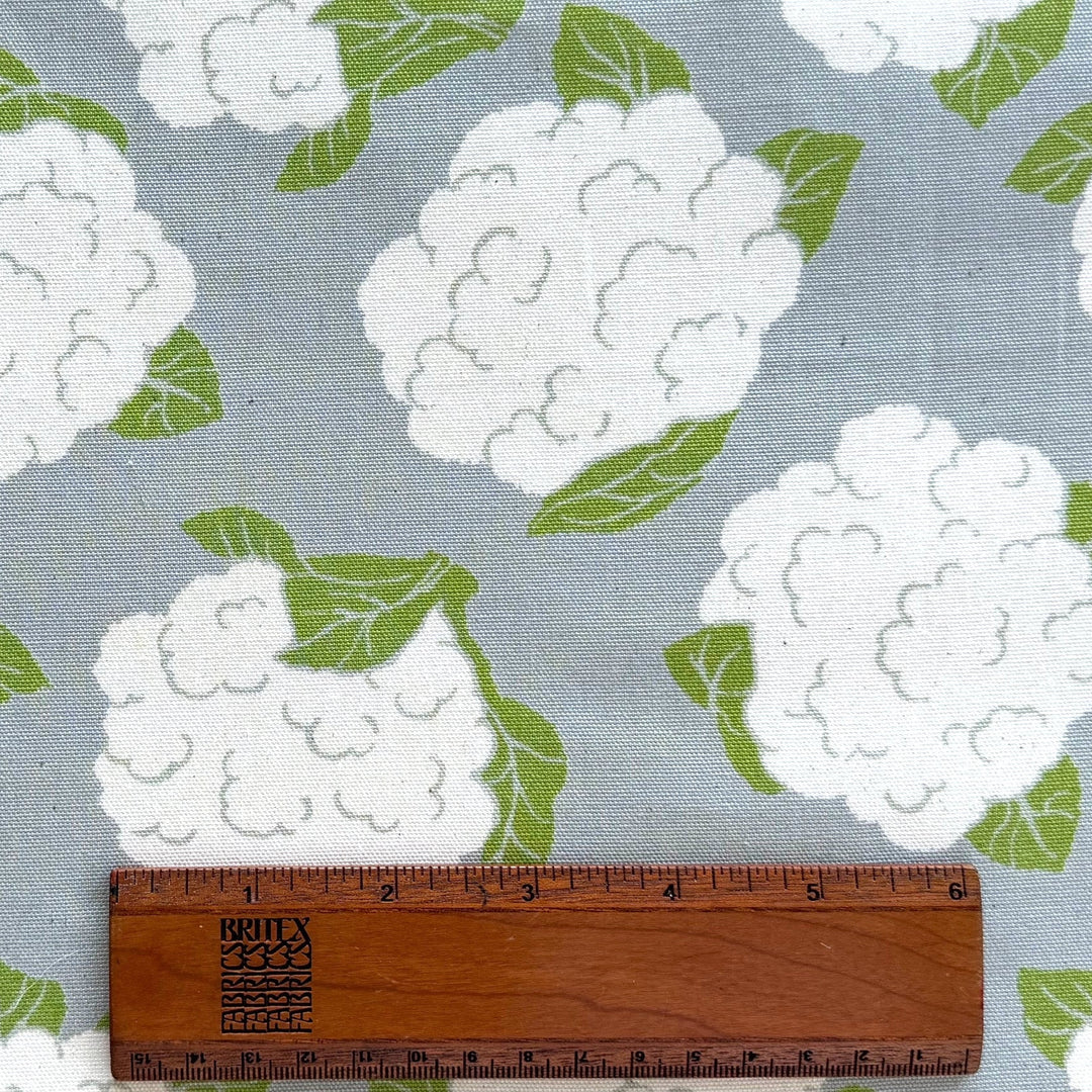 Cauliflower Heads on Grey Light-Weight Cotton Canvas (Made in Japan)