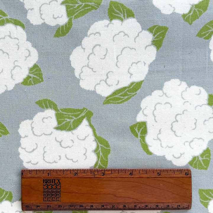 Cauliflower Heads on Grey Light-Weight Cotton Canvas (Made in Japan)