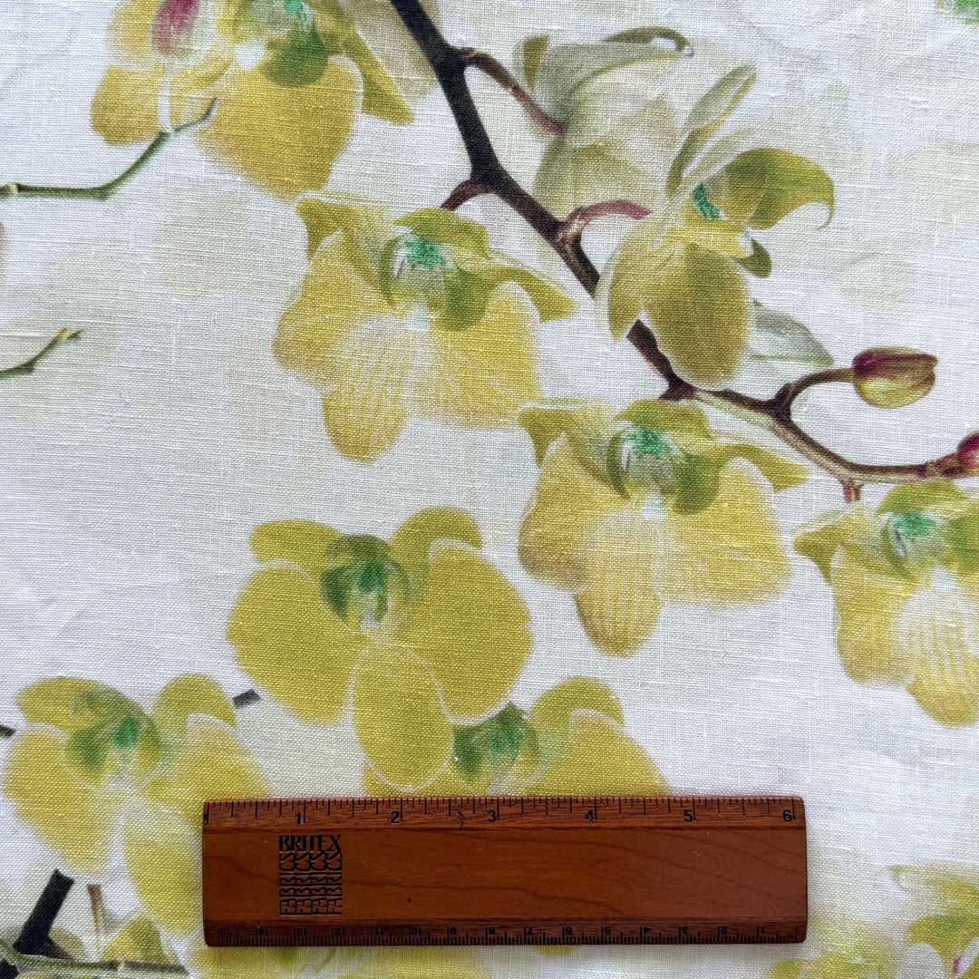 Lighter-Weight Citron Grape Lilies on White Linen (Made in Poland)