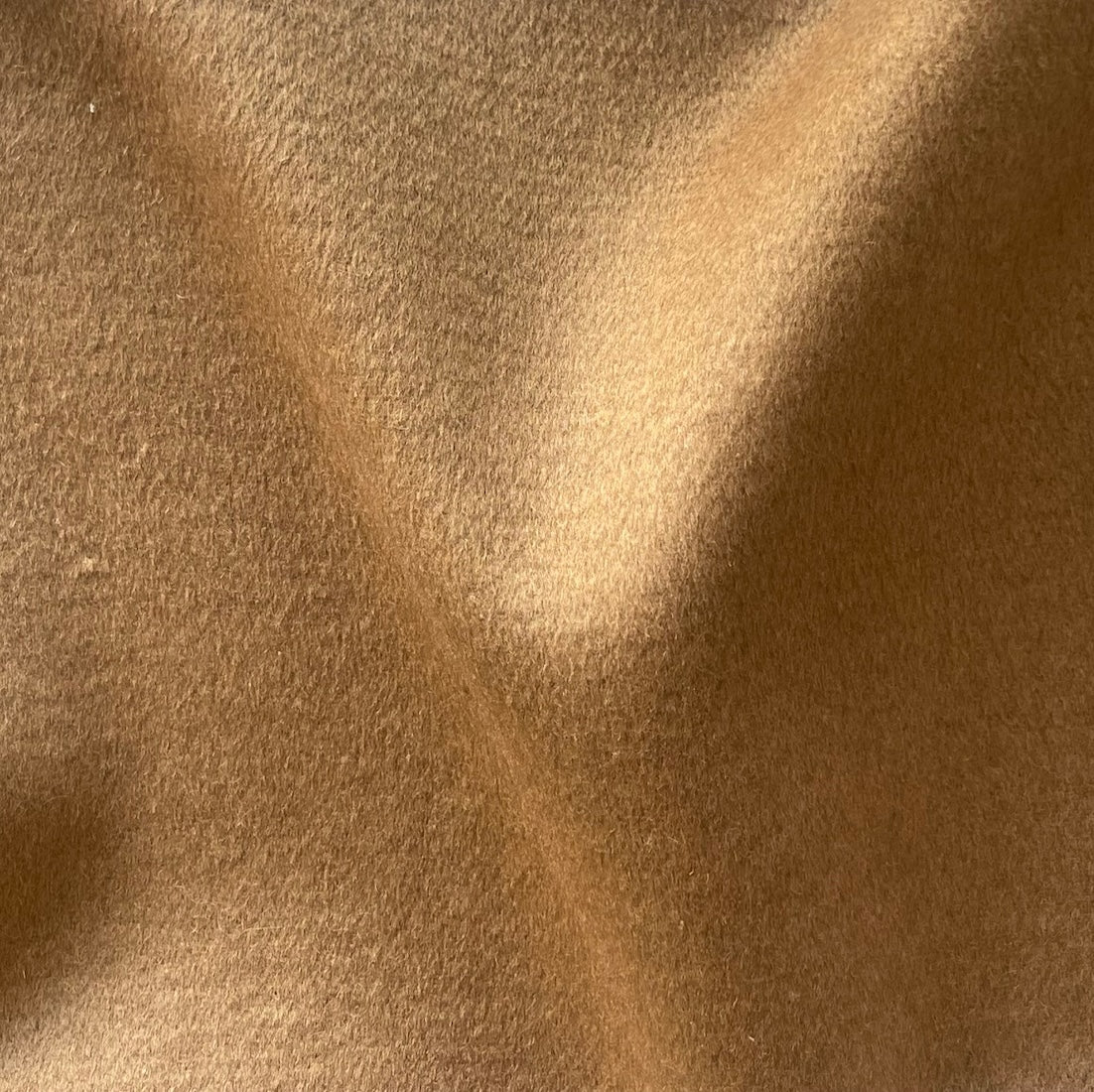 IMG_8611.jpg?v=1722296795&