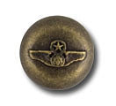 Winged Antique Gold Metal Blazer Button