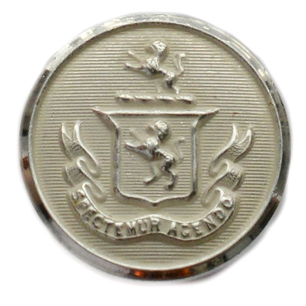 Lion Salient Silver Blazer Button (Made in USA by Waterbury)