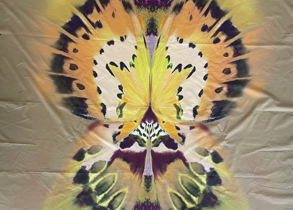 48" Panel - Alberto Ferretti Kaleidoscope Butterfly Wings Cotton Lawn (Made in Italy)