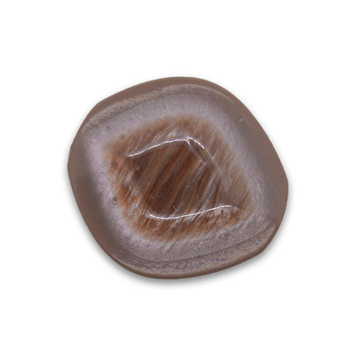 Pale Caffè Latte Plastic Button